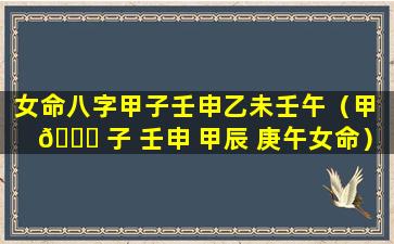 女命八字甲子壬申乙未壬午（甲 🐕 子 壬申 甲辰 庚午女命）